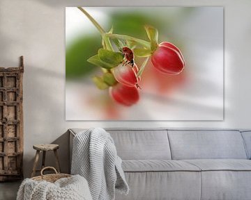 Rouge et vert sur Ellen van Deelen