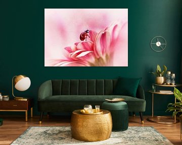 Coccinelle sur gerbera sur Ellen van Deelen