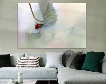 Ladybird on blue-green hydrangea by Ellen van Deelen