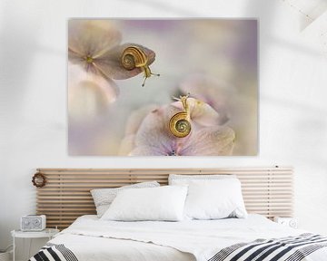 Petits escargots.... sur Ellen van Deelen