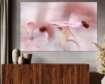 Coccinelles avec hortensia rose sur Ellen van Deelen