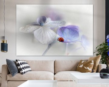Belle dame... sur Ellen van Deelen