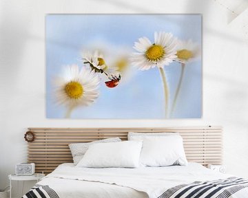 Coccinelle et marguerites sur Ellen van Deelen