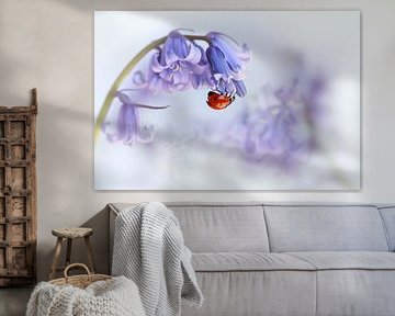 Coccinelle... ! sur Ellen van Deelen