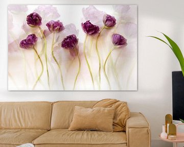 Tulipes (III) sur Ellen van Deelen