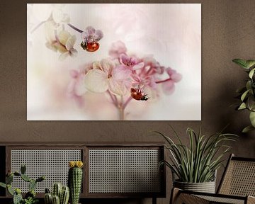 Flowers and ladybirds by Ellen van Deelen