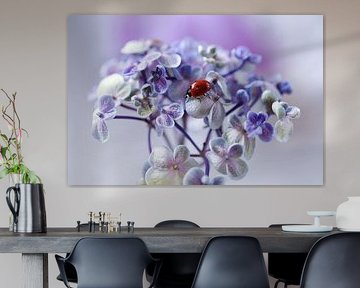 Red, blue and purple by Ellen van Deelen
