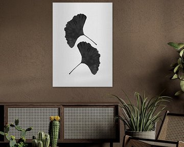 Ginkgo Leaf Black & ; White II sur Orara Studio