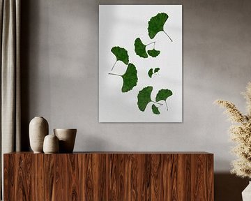 Ginkgo Leaf I by Orara Studio