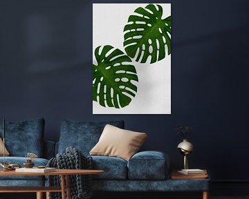 Feuille de monstera II sur Orara Studio