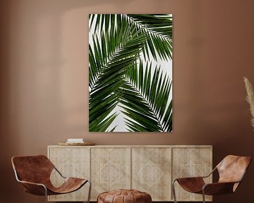 Feuille de palmier III sur Orara Studio