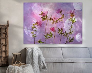 rose sur Hilda van der Lee