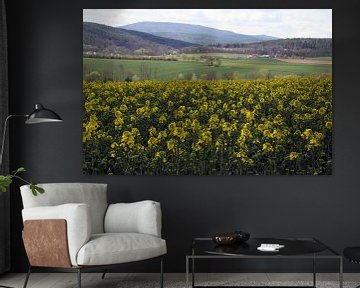 Blick in Richtung Rhön im Frühling mit Rapsfeld