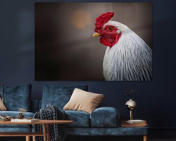 Little red  rooster