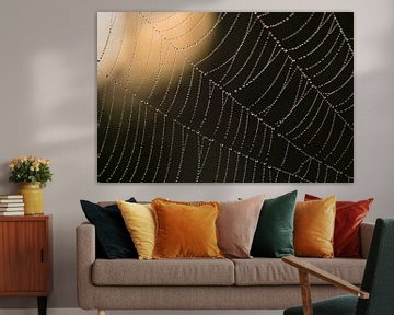 Waterdruppels in een spinneweb van Barbara Brolsma