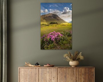 Wild rhododendrons in Glen Etive by Christian Müringer