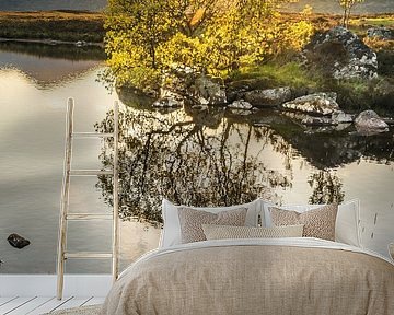 Avondlicht bij Lochan na h-Achlaise, Rannoch Moor