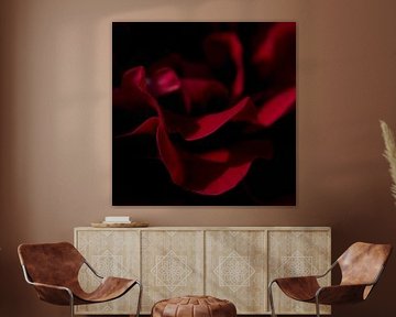 Rouge velours (format au carré)