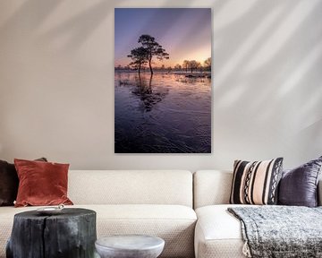 Een winters sprookje van Moetwil en van Dijk - Fotografie