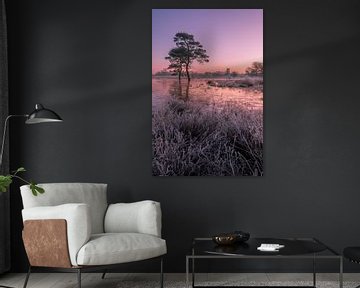 Kleurrijke zonsopkomst van Moetwil en van Dijk - Fotografie