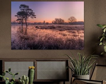Zonsopkomst natuurgebied van Moetwil en van Dijk - Fotografie