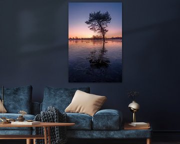 Frozen van Moetwil en van Dijk - Fotografie