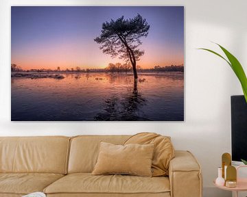 Magische zonsopkomst bij bevroren meer van Moetwil en van Dijk - Fotografie