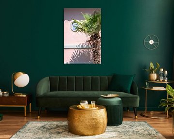 Palmboom met schaduw tegen roze muur – zomerse wanddecoratie