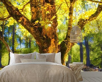 Maple Tree in Autumn by Coen Weesjes