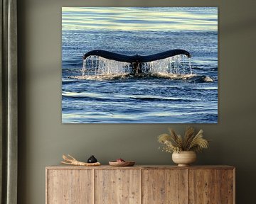 Majesty of the deep - whale fin at sunset by Eric Nagel