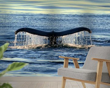 Majesteit van de diepte - walvisvin bij zonsondergang