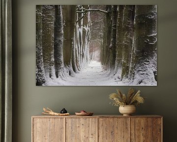 Winter van Bram de Jong