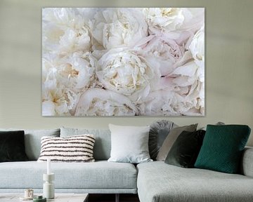 üppig blühende weiße Pfingstrosen - romantisches Blumenposter