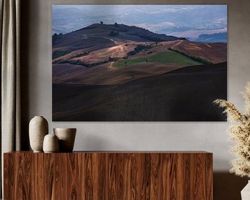 Les collines de Toscane avec de belles couleurs chaudes sur Steven Dijkshoorn