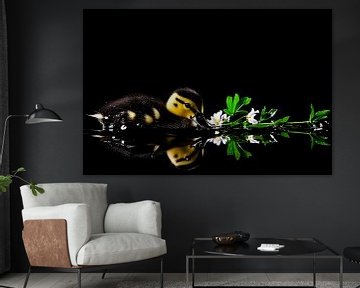 Entenküken mit Blumen im Wasser von Art & Soul Creations
