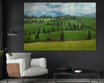 Cipressen bomen in Toscane Italie. van Menno Schaefer