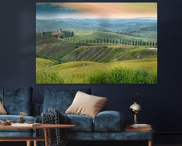 Cipressen bomen in Toscane Italie. van Menno Schaefer