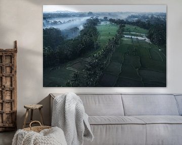 Ochtendmist boven de rijstvelden van Bali van Dylan Shu Photography