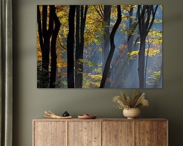 Autumn in the Dutch Woods by Roelof Foppen