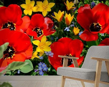 Hello spring! by Corinne Welp