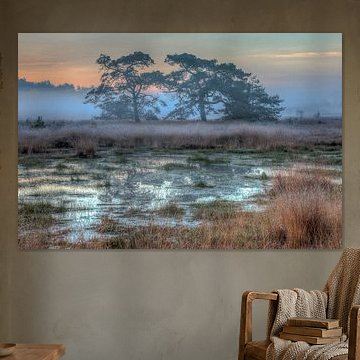 Net voor Zonsopkomst