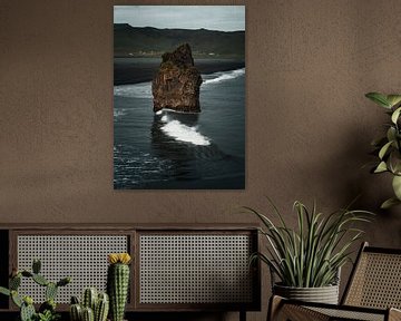 Solitude on the Black Shore by Diana Birjac Photos