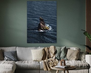 Black beach views by Diana Birjac Photos