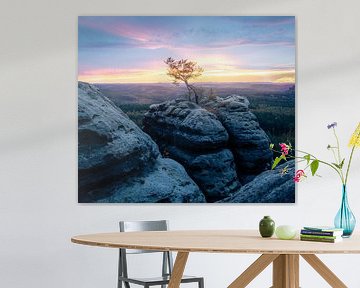 Sonnenuntergang in der Sächsischen Schweiz von Nils Steiner