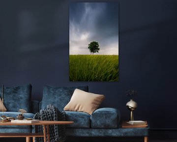 Boom in een storm
