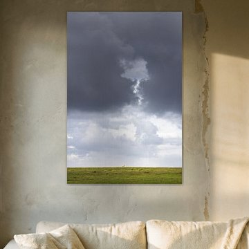 Mouton dans la tempête