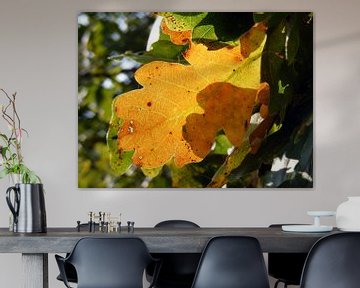 Herfstblad. Autumn leaf. van Joke Schippers