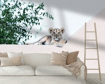 Jonge leeuw op minimalistische muur