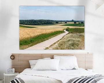 Landschap Vlaams Brabant van Richard Wareham
