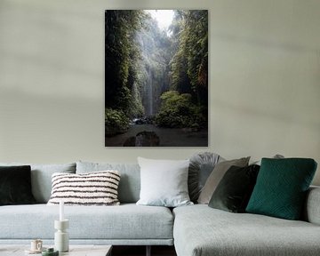 Verborgen waterval in tropisch regenwoud van Ian Schepers